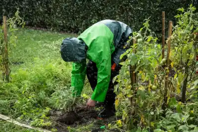 El Niño amenaza tus frutales: el plan del especialista para evitar pérdidas