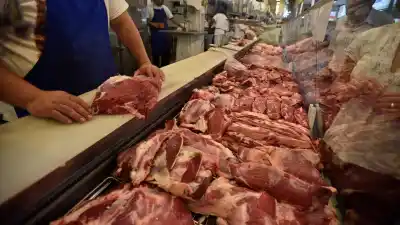Control en carnicerías de Neuquén: qué encontraron en los 24 locales inspeccionados