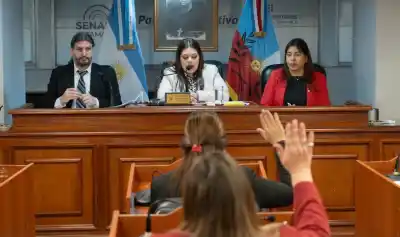 Catamarca: el Senado aprobó la transformación de Camyen a Sociedad Anónima y ya puede vender propiedades mineras