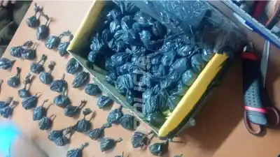 Cayó por un kiosco narco en La Sirena, pero la Justicia le dio una chance inesperada