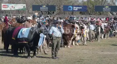 La Expo Rural Salta acelera: remates, asadores y una cita con Ponzio