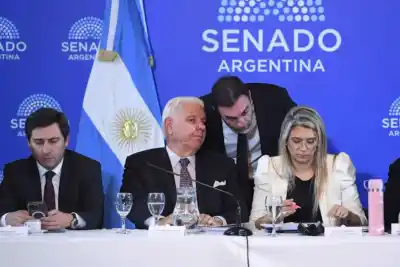 El super-RIGI avanza en el Senado, pero la oposición dialoguista exige cambios