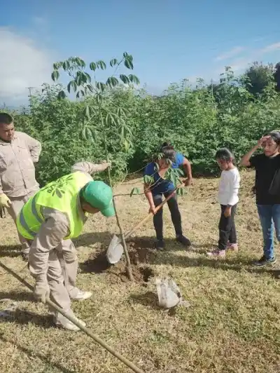 Cabalango se llena de verde: plantarán árboles nativos y vos podés sumarte