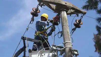 Cortes de luz programados: conocé las zonas y horarios en Fraile Pintado y Palma Sola