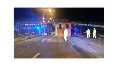 Un camión volcó con vacas en Circunvalación y la policía detuvo a cinco personas: qué encontraron en las camionetas