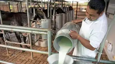 La producción lechera de Entre Ríos se recupera con un salto del 12% y marca récord en 2025