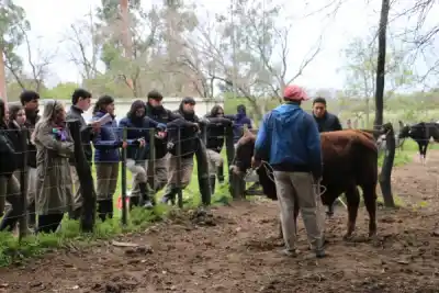 El secreto detrás de la mirada experta: estudiantes de la ERAGIA aprenden a elegir Brangus de élite