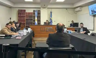 Murieron tres perros envenenados en Rawson y la Justicia absolvió al único acusado: la Fiscalía apelará