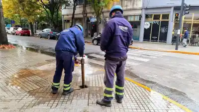 Obras en Laprida: qué líneas de colectivo cambian su recorrido esta semana