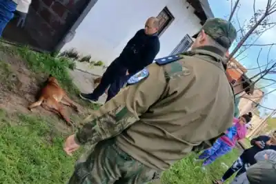 Un perro apareció muerto en La Tablada y la Policía Rural detuvo a un joven sospechoso