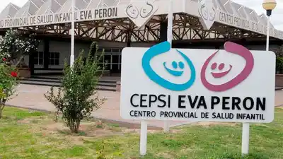 Un animal en la ruta casi provoca una tragedia: tres nenas terminaron con golpes