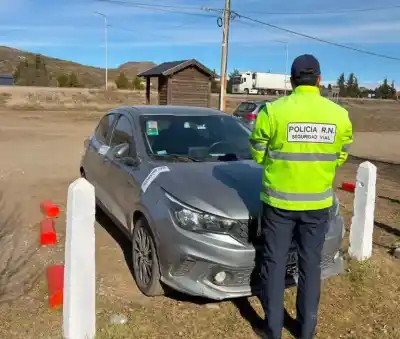 Un Fiat Argo con pedido judicial fue secuestrado en un control sobre la Ruta 40