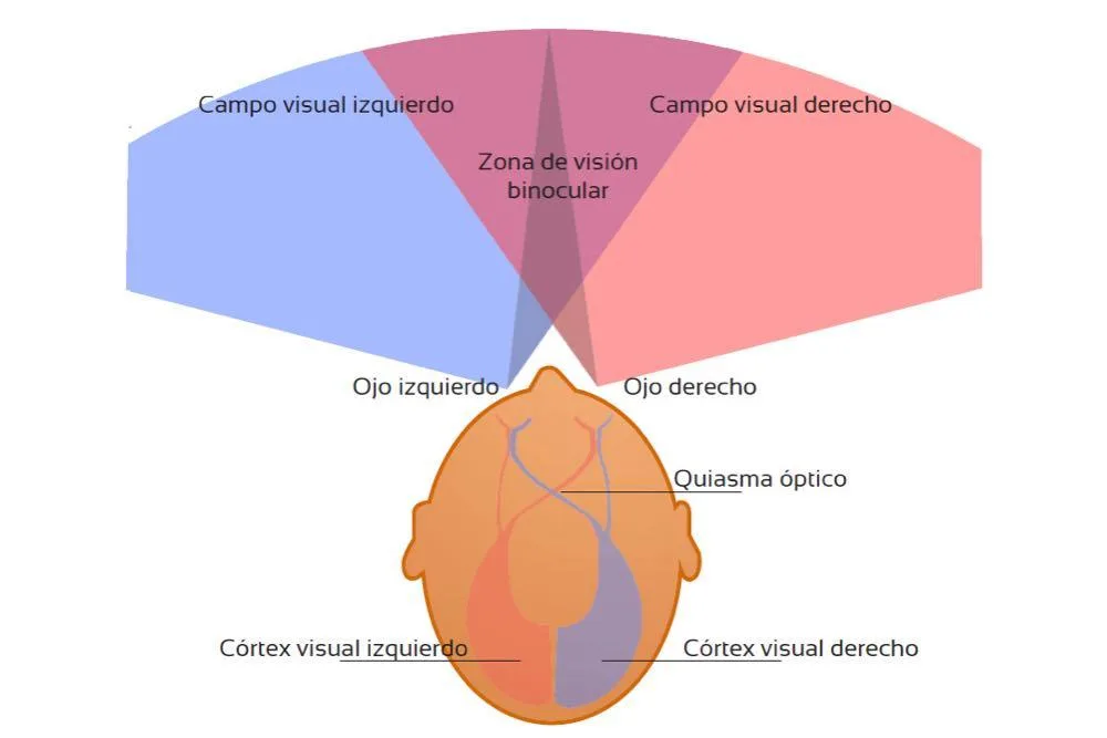 https://images.openai.com/static-rsc-4/3FeajRqUrnd3co0_ivPErK5-GbuMsEa8YSvIsdrHBFrzrIgJeTx7pfz-9MExJt7LZ2yEbxuEtjNEWcxrAId3FUOkV5KTrsEYoWcO8kUML38nSjvOQ0yFb-MSe4bt6Y6x8XMZTwARQ0GQfyQQgznkDz0-K3WAyz5JZffa5P6rpXb1nf-JocW9aZGV59aHv0fL?purpose=fullsize