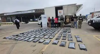Golpe al narcotráfico en el Puente de la Integración: hallaron 304 kilos de marihuana ocultos en un camión