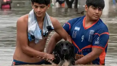 La otra cara de la emergencia: la carrera contra el tiempo para salvar a los animales olvidados por las inundaciones