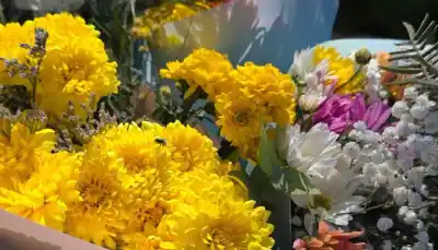 El aroma que invadió la plaza: productores de Isla Verde pusieron a la venta sus flores