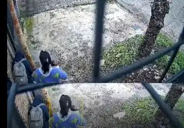Vecinos de Independencia denuncian que roban cables del alumbrado y dejan la zona a oscuras