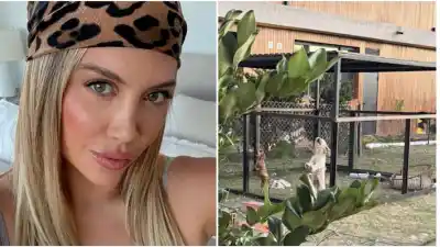 Vecinos de Nordelta denuncian el estado de los perros de Wanda Nara: “Ladran todo el día y están solos”