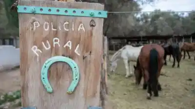 Desarticulan red de venta de carne ilegal en Malargüe: lo que hallaron en tres comercios