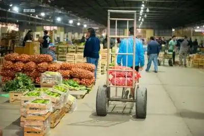 Pocito: el nuevo mercado frutihortícola que generará decenas de empleos