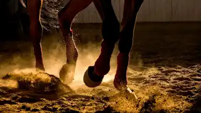 Pateado por un caballo: la dramática situación de un nene de 8 años en San Lorenzo