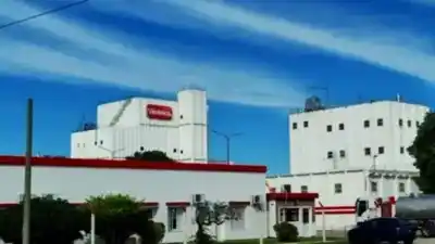 El colapso de Lácteos Verónica: la Justicia deberá decidir el futuro de una de las lácteas más importantes del país