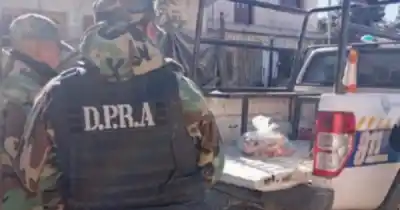 Decomisaron 640 kilos de pollo en Rosario de Lerma: el detalle que encendió las alarmas
