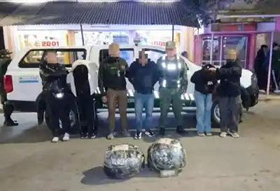 Un perro antinarcóticos destapó un cargamento de 17 kilos y la Justicia ya detuvo a cuatro