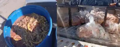 Un control de rutina en Salta terminó con un hallazgo que sorprendió a los efectivos