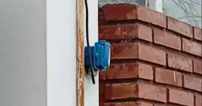 El insólito hallazgo en un puesto de flores que enfureció a los vecinos de Berisso