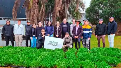 De la chacra tabacalera al invernadero: 55 familias misioneras apuestan al pimiento