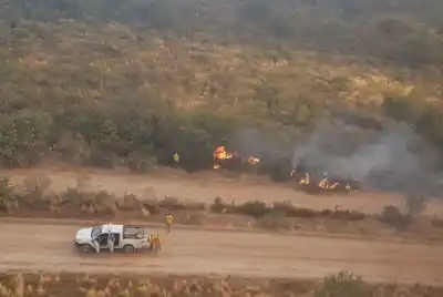 Ampliaron el plazo para quemas de bosque-monte en La Pampa: ¿hasta cuándo se puede?