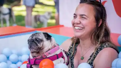 El negocio de las mascotas explota en Argentina: 19 millones de animales y un mercado que ya mueve US$3.200 millones