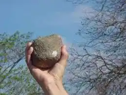 Le robaron la moto a golpes: un jubilado fue atacado con una piedra en Libertador