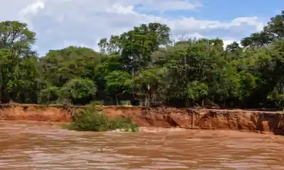 Fuerza imparable del río Salado: el momento exacto en que la tierra cedió y arrastró todo a su paso