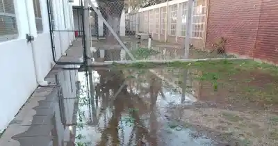El drama oculto de una escuela platense: los pozos desbordados que nadie soluciona