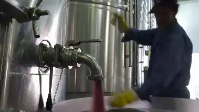 El vino a granel argentino rompe récords: ¿qué hay detrás del aumento del 46,5%?