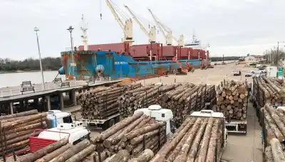 ¿Qué provincia del NEA domina las exportaciones? Misiones impone su liderazgo con cifras récord