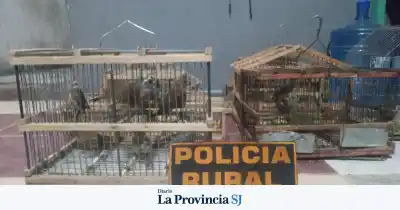 El insólito hallazgo en dos allanamientos en 25 de Mayo que dejó a todos sorprendidos