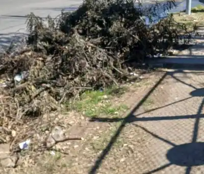 El pedido desesperado de los vecinos por el contenedor de Acosta Villafañe: 'No queremos su basura en nuestra esquina'