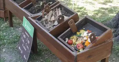 Taller gratuito en Rosario: El secreto que transforma tu basura en un tesoro para el planeta