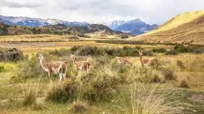 La asombrosa transformación de una estancia de 70.000 hectáreas que hoy es un parque nacional