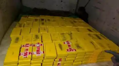 El cargamento de cocaína que no llegó a Salta: el operativo que dejó helados a los narcos