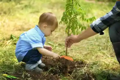 Bell Ville: la emotiva iniciativa que une a las familias con los árboles de sus hijos