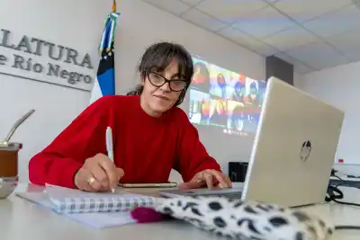 Río Negro define su propia ley penal juvenil: los detalles del proyecto que busca tratamiento
