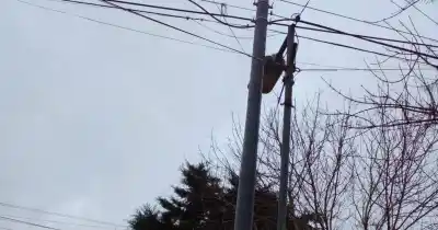 Robaron una luminaria en 30 entre 60 y 61: los vecinos ya no saben a quién recurrir