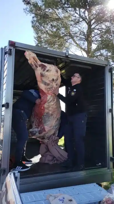 Hallazgo en la Ruta 102: decomisaron 350 kilos de carne sin documentación sanitaria