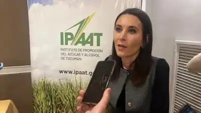 Impacto del bioetanol: la ley que podría transformar el NOA