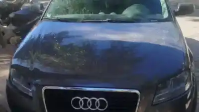 Operativo en Belén: hallaron un Audi con pedido de captura y un celular en dos allanamientos