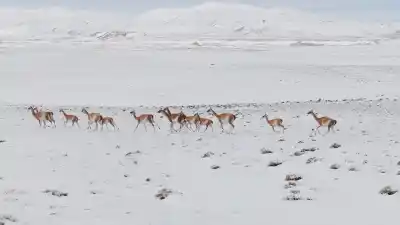 El desierto más árido del mundo amaneció blanco: la nieve sorprendió a San Pedro de Atacama y complicó la ruta a Jujuy